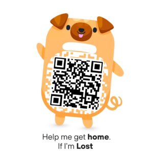 The Lost & Found T-Shirt – Help Me Get Home If I Lost