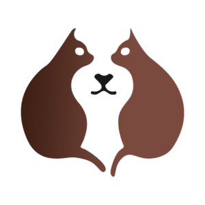 Dog in Cat T Shirt | A Clever Illusion for Animal Lovers